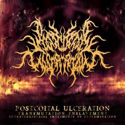 Postcoital Ulceration : Promo 2013